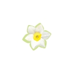 تاپر بسته 50 عددی