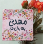 مگنت دایره آفتابگردان