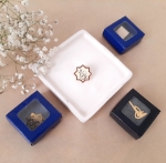 نشان سینه طلایی طرح های امیرالمومنین (ع)