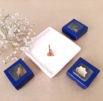 نشان سینه طلایی طرح های امیرالمومنین (ع)