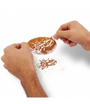 شابلون شله زرد سلام بر حسین