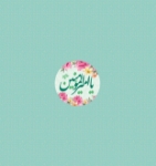 پیکسل فلزی یا امیرالمومنین (ع)