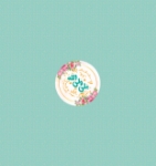 پیکسل فلزی یا امیرالمومنین (ع)