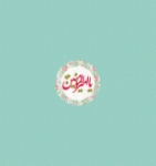 پیکسل فلزی یا امیرالمومنین (ع)