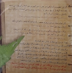 من کی هستم
