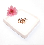 نشان سینه طلایی طرح های امام زمان علیه السلام