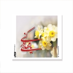 برچسب مربع طرح های امام عصر/ بسته 50 عددی