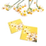 مگنت مربع طرح های امام عصر