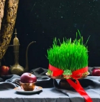 تاپر بسته 50 عددی طرح نوروز مبارک