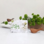 مگنت های مستطیل بزرگ امیرالمومنین علیه السلام