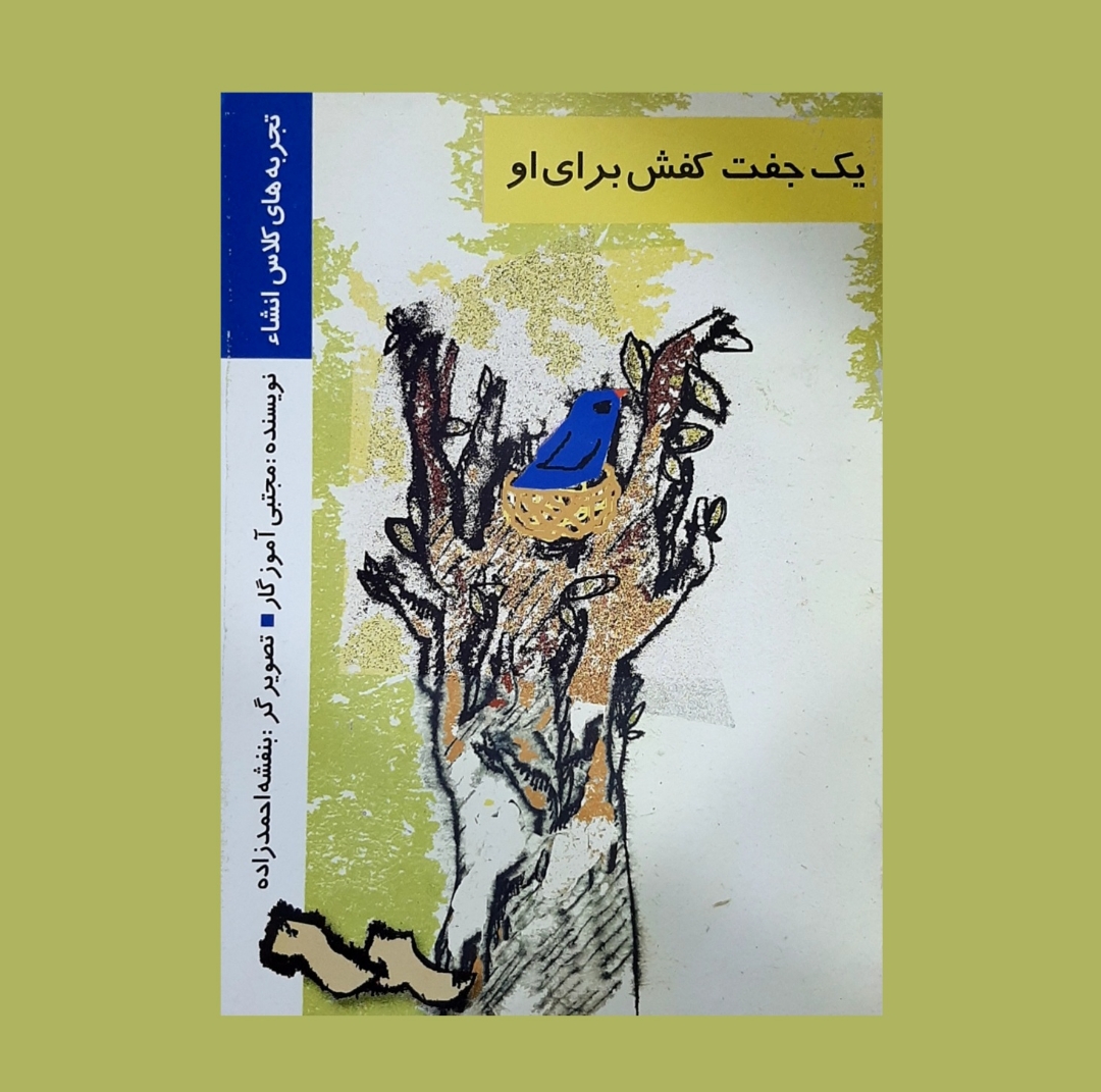 کتاب یک جفت کفش برای او