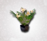 تاپر چوبی سلام بر مهدی