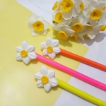 مداد و سرمدادی گل نرگس