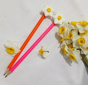 مداد و سرمدادی گل نرگس