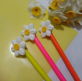 مداد و سرمدادی گل نرگس
