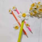 مداد و سرمدادی گل نرگس