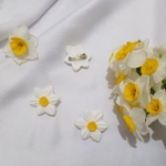 پیکسل گل نرگس