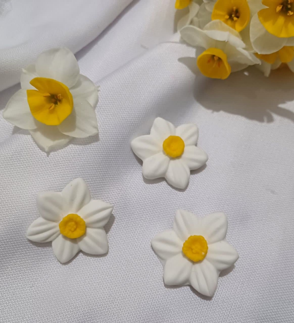 پیکسل گل نرگس