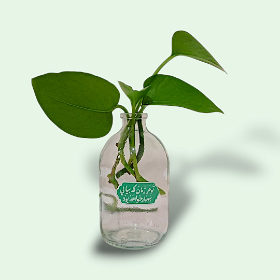 گلدان شیشه ای کوچک طرح تو هر زمان که بیایی بهار خواهد بود - شفاف