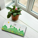 پاکت پول طرح طرح من یار امیر مومنانم