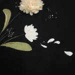 بلوز آستین بلند مشکی طرح شاخه گل