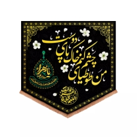 بیرق من طوطیای چشم کنم خاک پای دوست