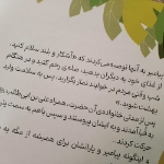 خرید کتاب کی از همه شجاع تره؟-6588