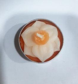 خرید شمع وارمر طرح گل نرگس- کد 6707- فروشگاه دیدار